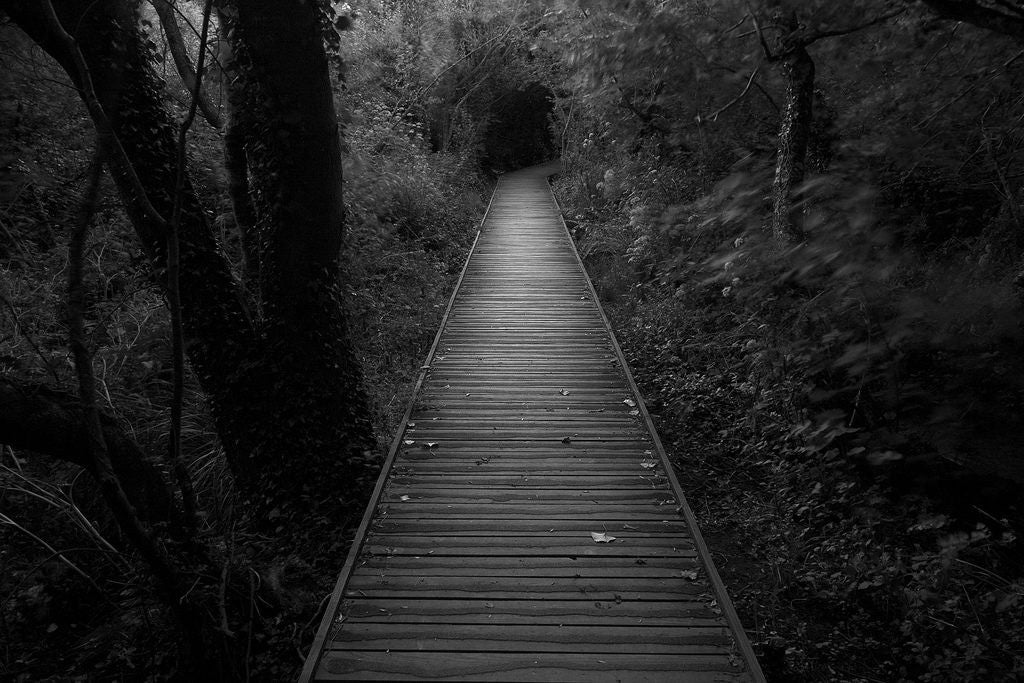 Dark Pathway to Pleasure